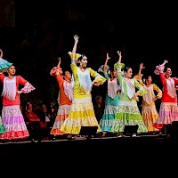 Contreras Flamenco Arts