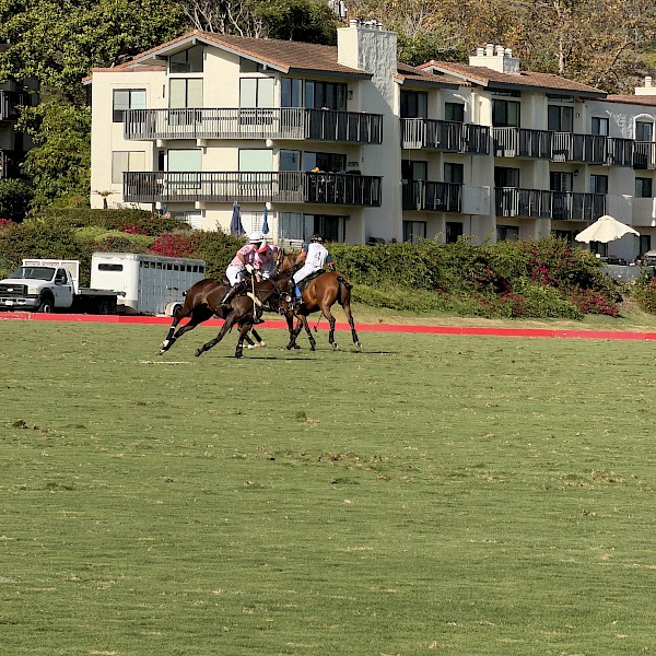 Polo Sunday at the Santa Barbara Polo and Racquet Club