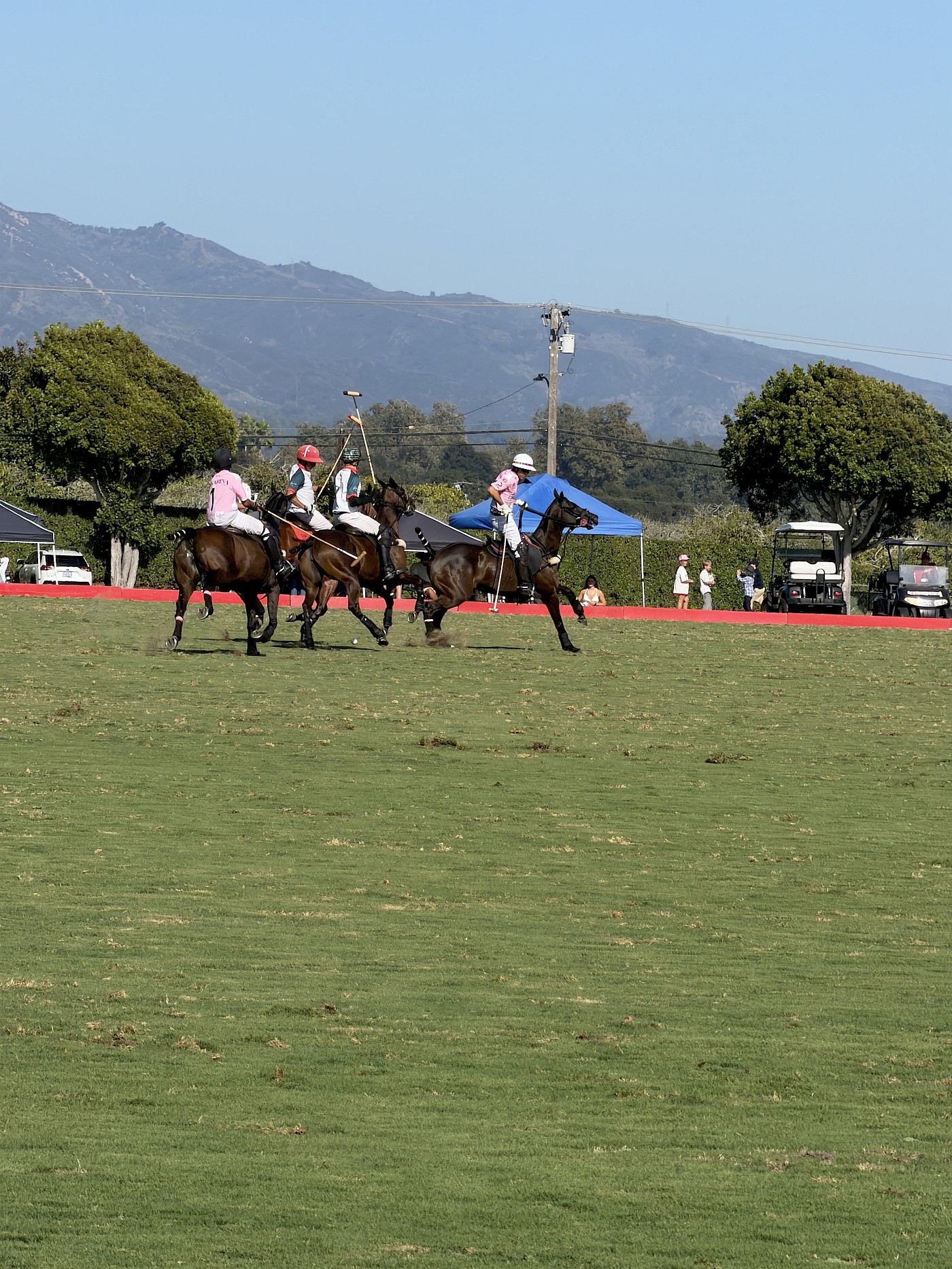 Polo Sunday at the Santa Barbara Polo and Racquet Club