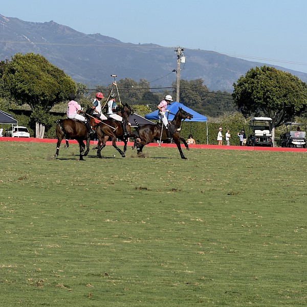 Polo Sunday at the Santa Barbara Polo and Racquet Club