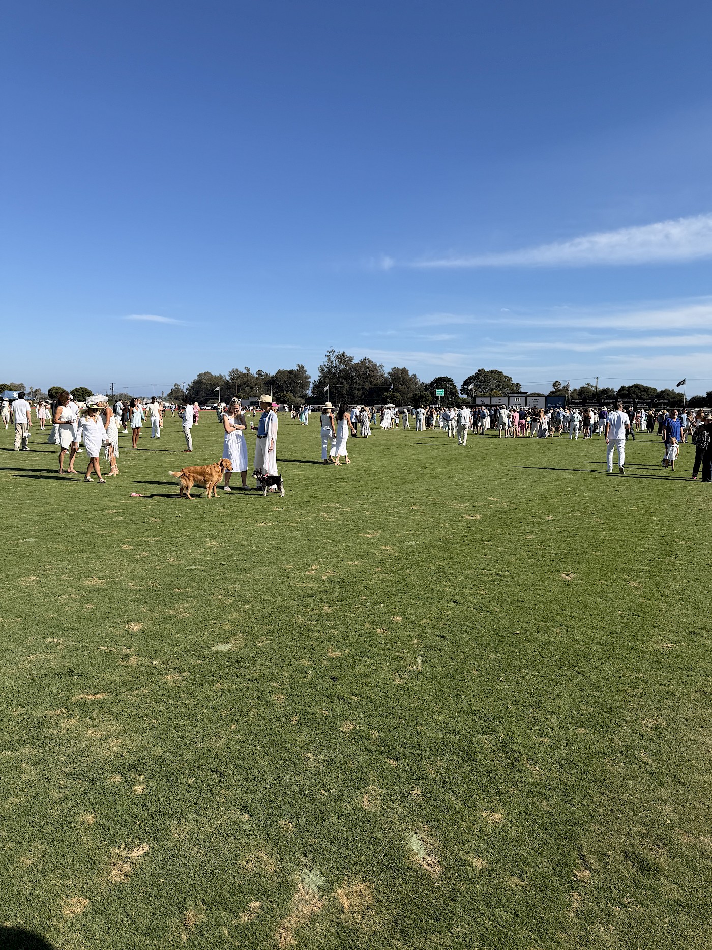 Polo Sunday at the Santa Barbara Polo and Racquet Club