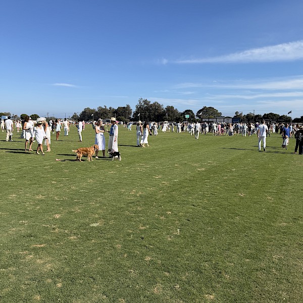 Polo Sunday at the Santa Barbara Polo and Racquet Club