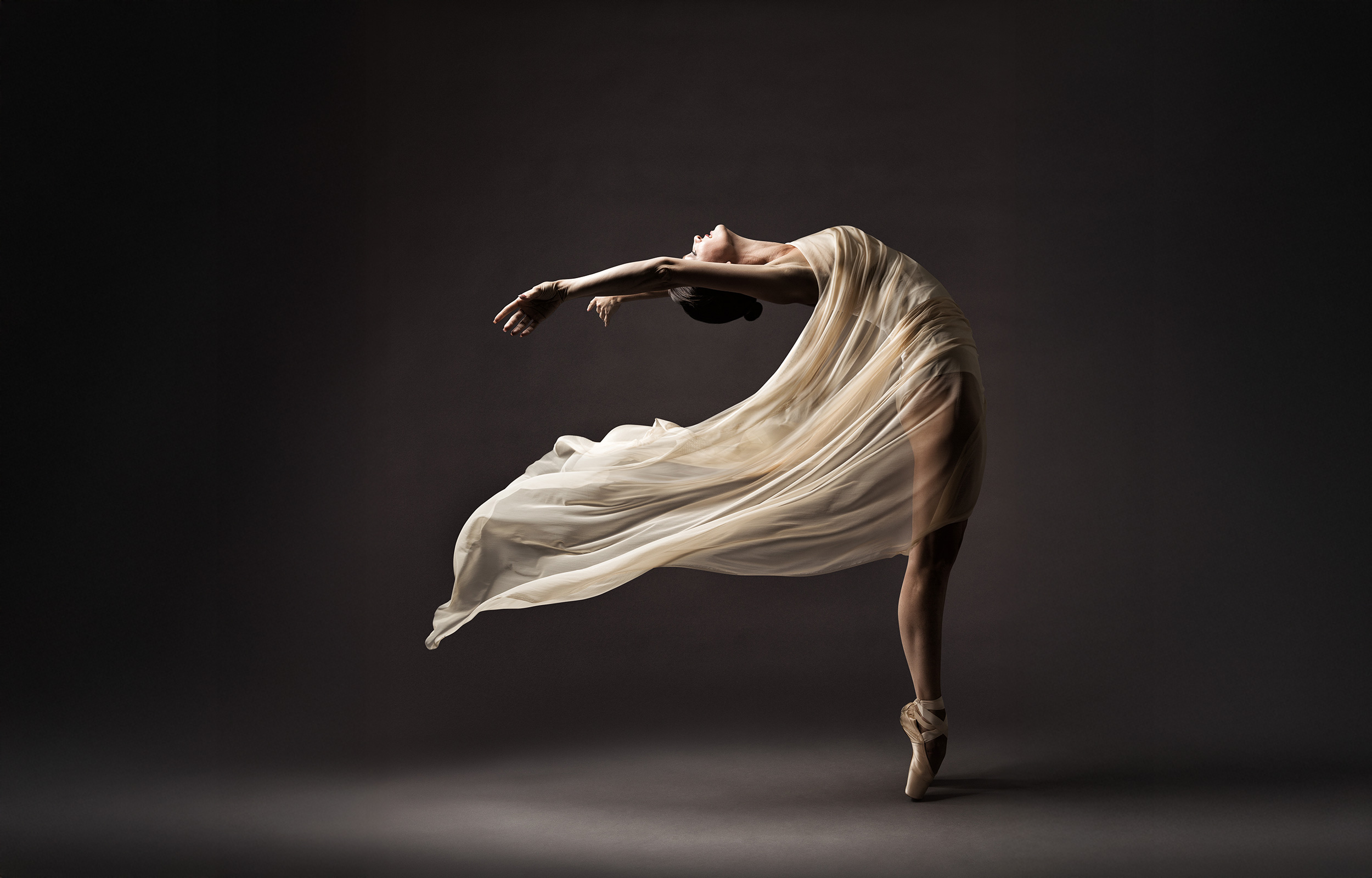The Brilliance Program:  Balanchine, Arpino, And Beyond Image