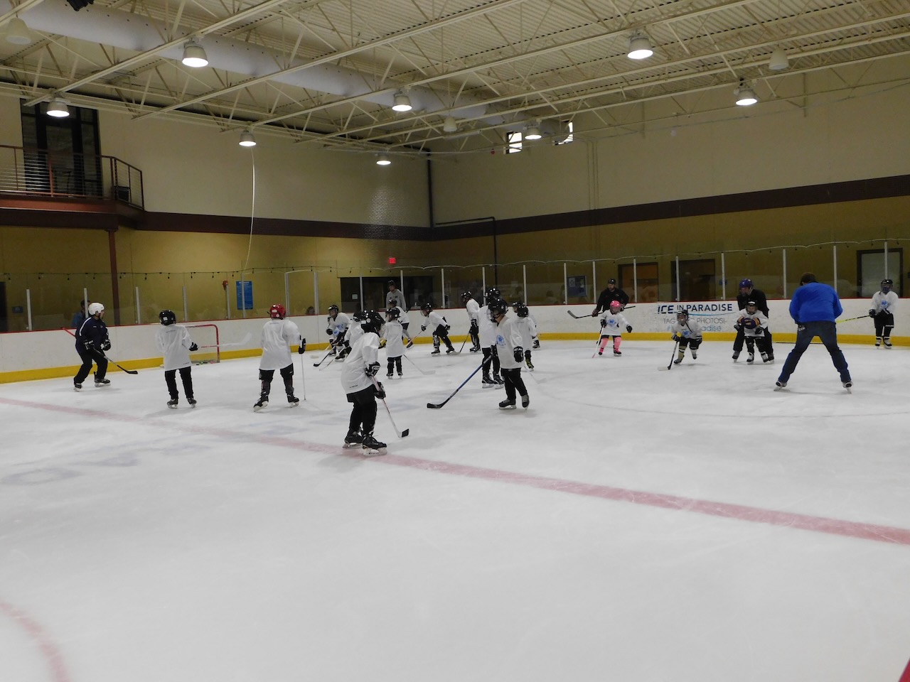 Girls Only - Try Hockey Free Image