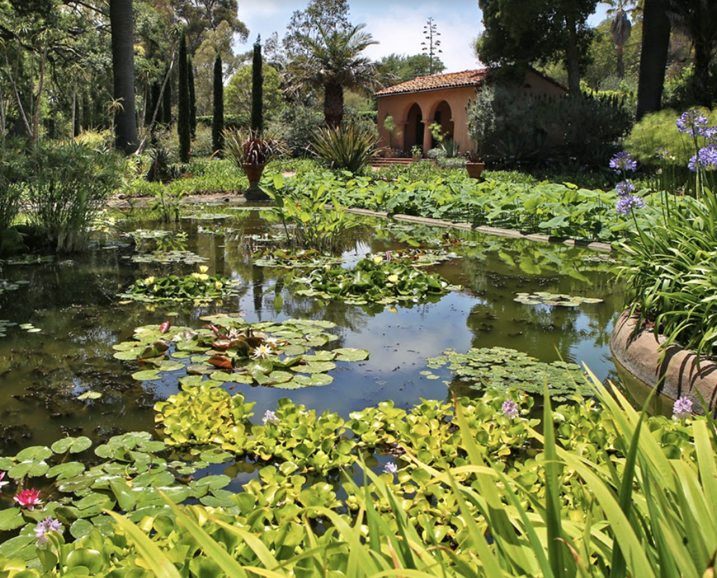 Lotusland Friends & Family Membership + Wearable Art Scarf Image