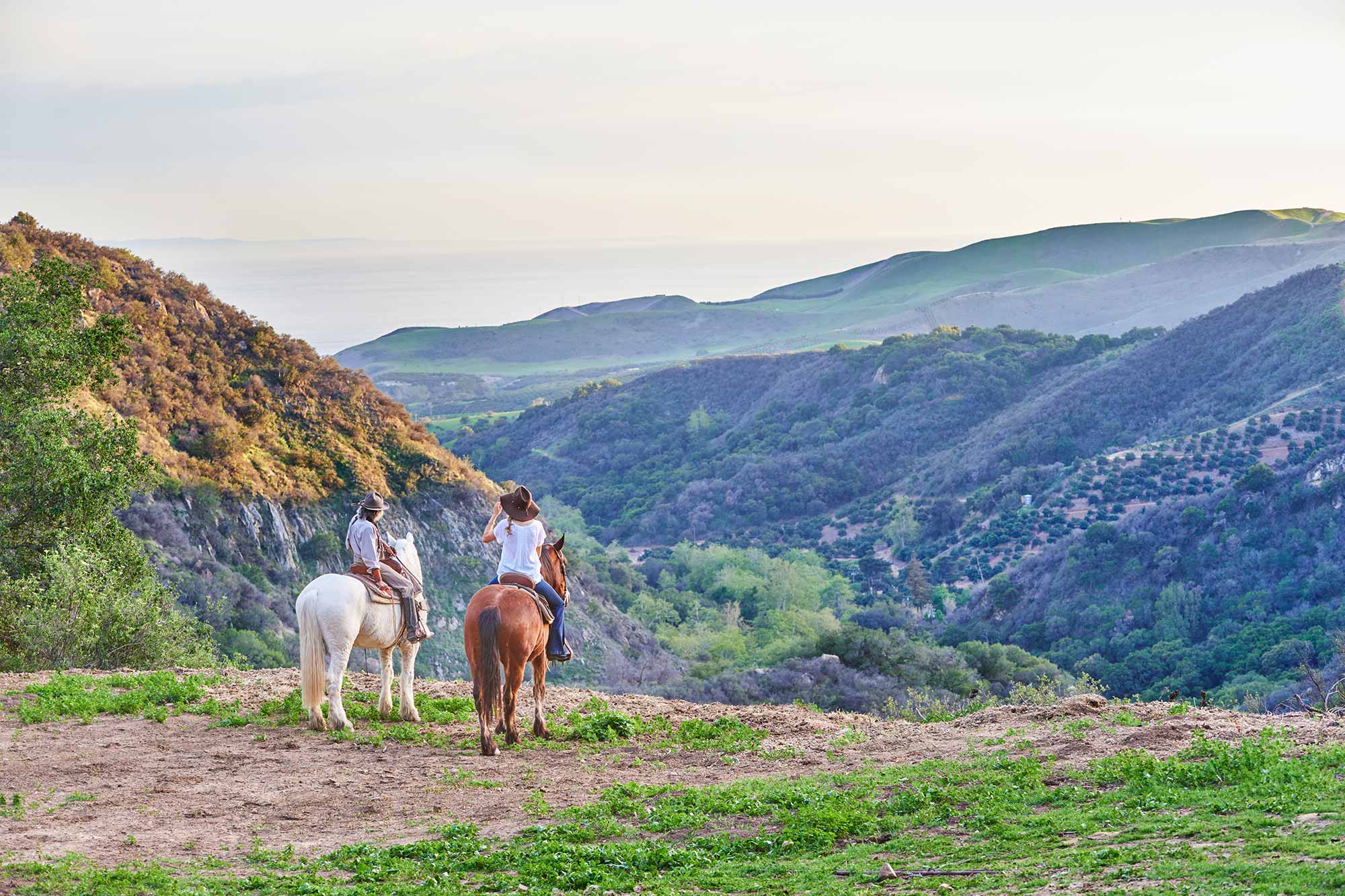 Circle Bar B Guest Ranch - One night stay in one of our two story Hillside Homestead Cabins, as well as an hour and half Horseback Ride for four guests Image