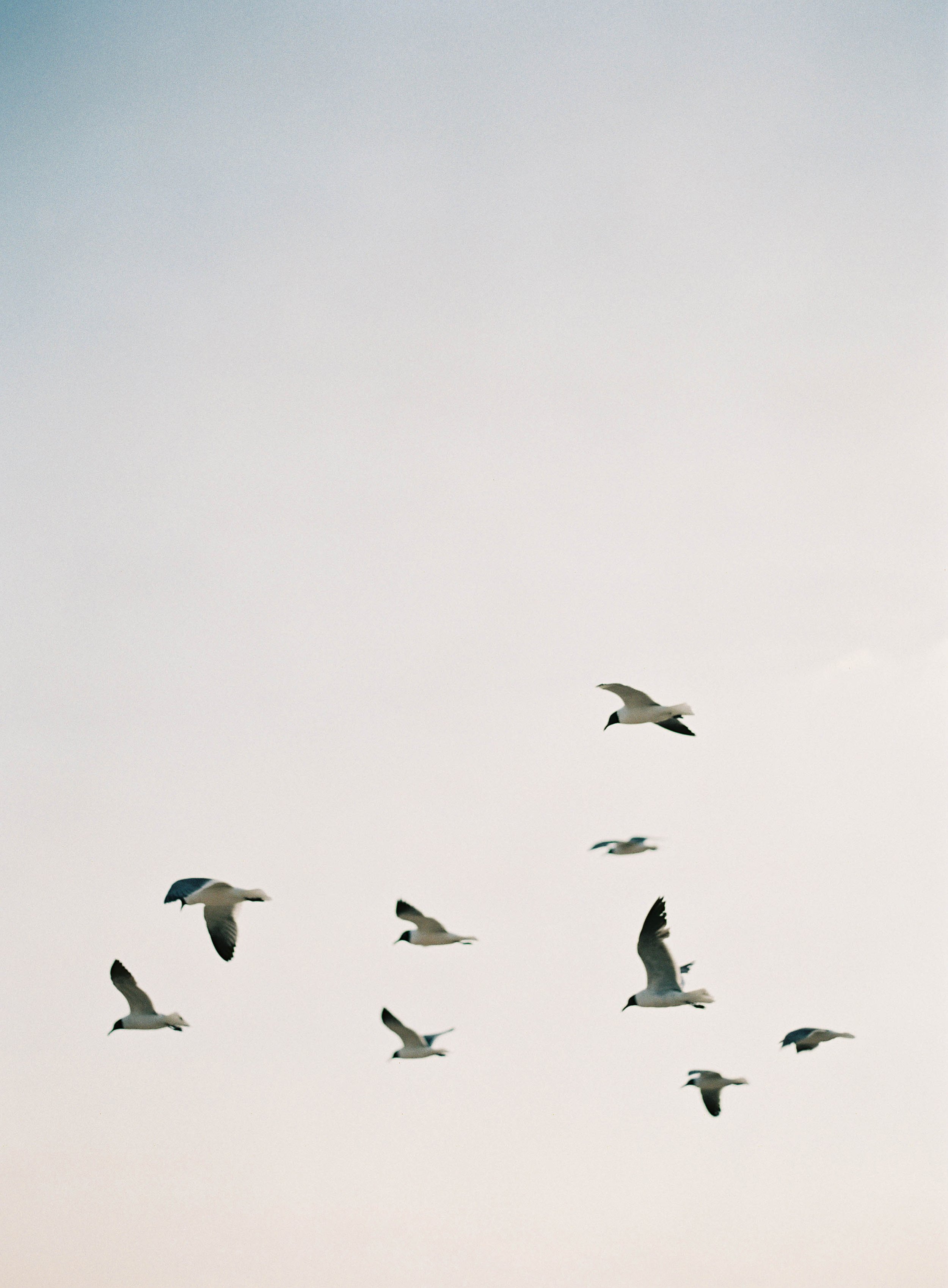 Limited Edition Fine Art Print -  Jenny Bogan Image