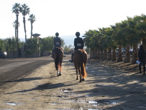Two (2) Private Horseback Riding Lessons - High Flying Farm (2 of 2) Image