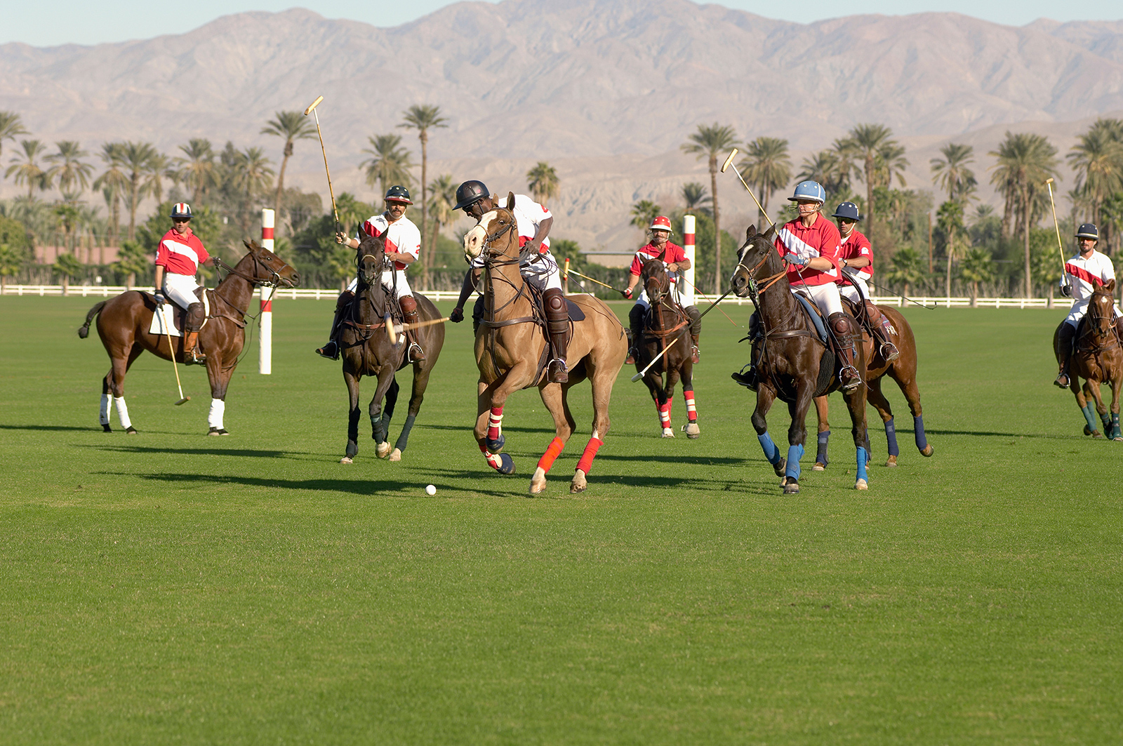 An Exclusive Afternoon of Polo - Celebrating Friendship Center’s People & Purpose Image