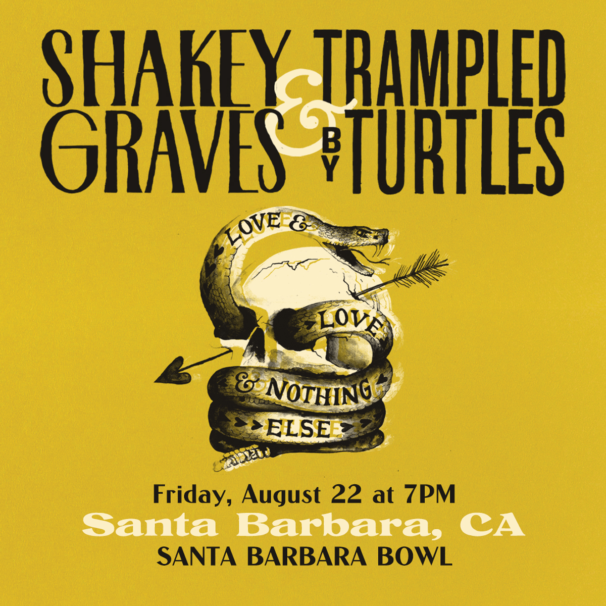 Shakey Graves and Trampled by Turtles Image
