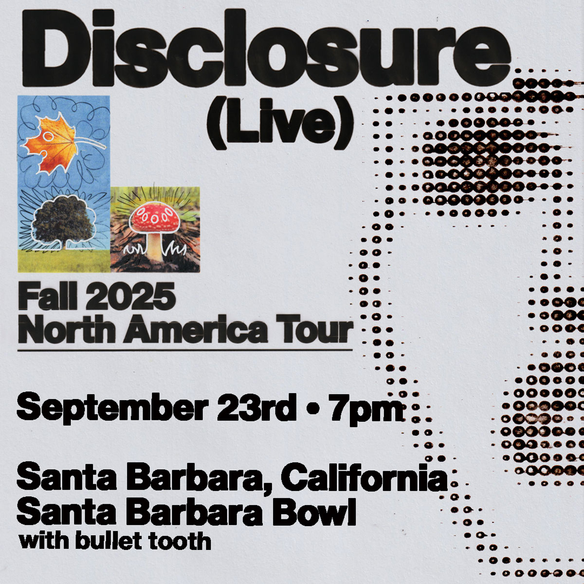 Disclosure (Live) Image