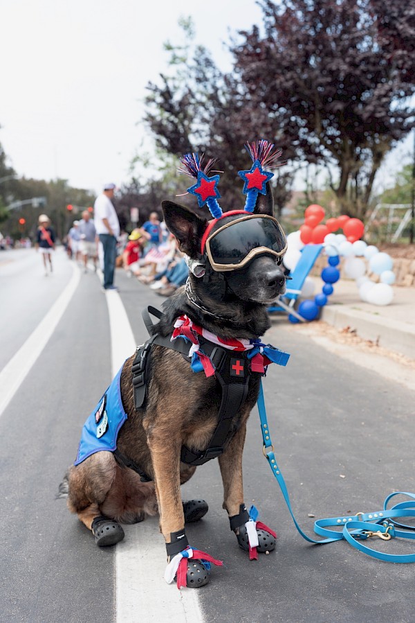 4th of July Parade Gallery - Photo 23
