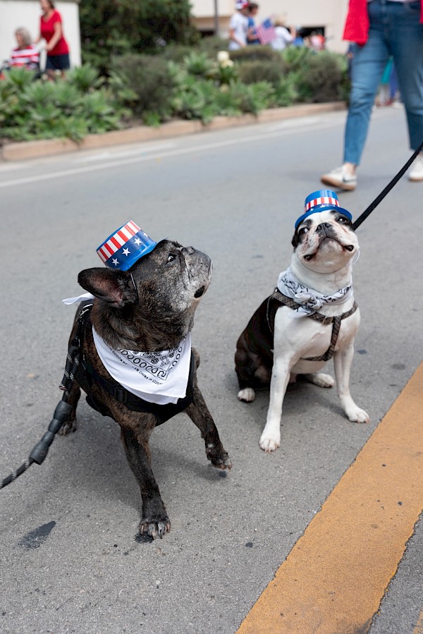 4th of July Parade Gallery - Photo 123