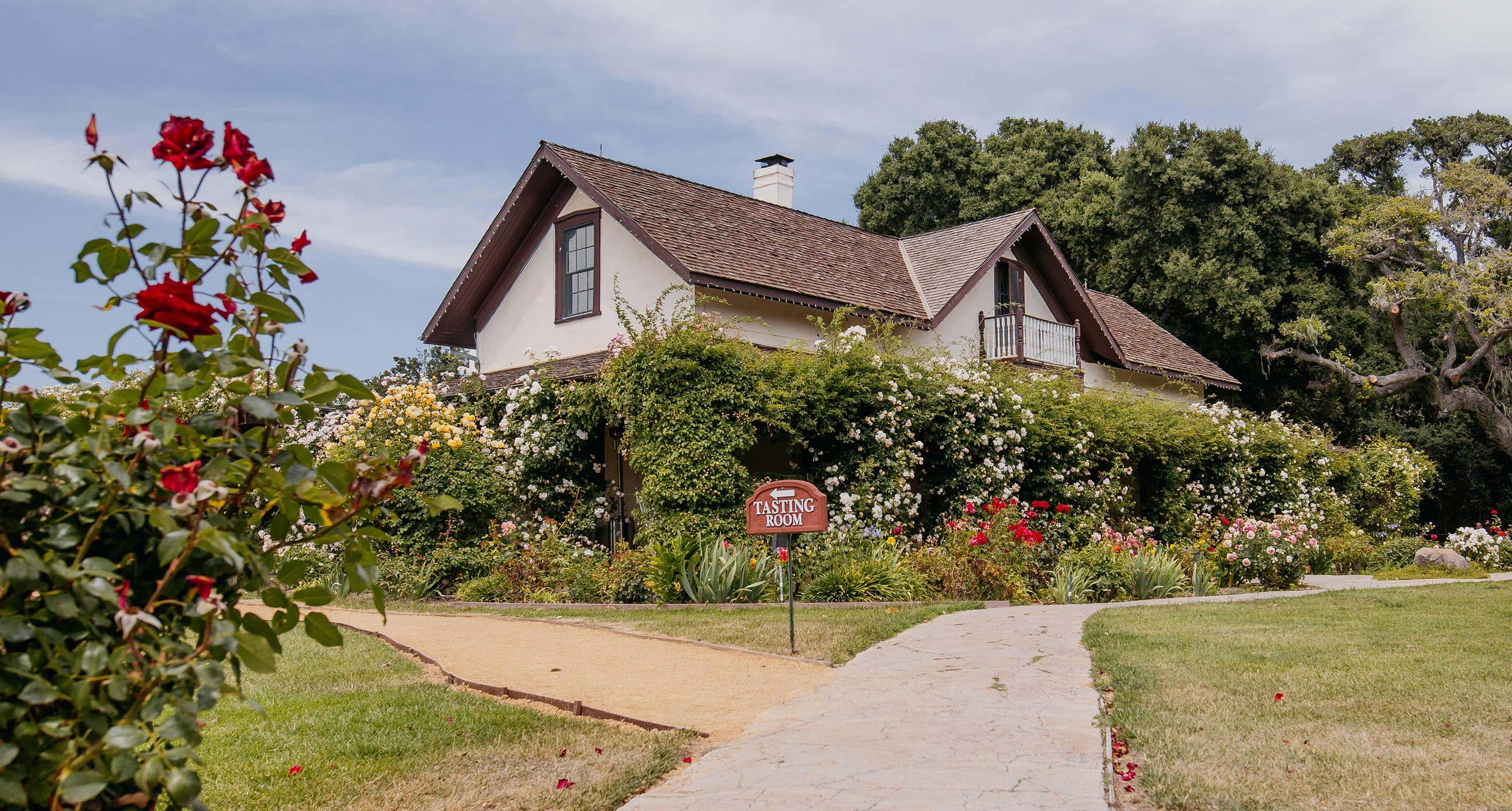 Rideau Vineyard Image -