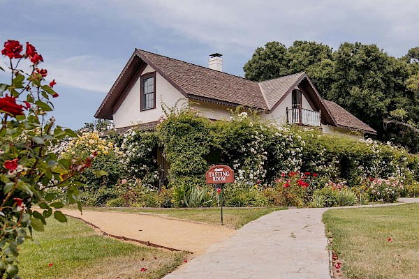 Rideau Vineyard