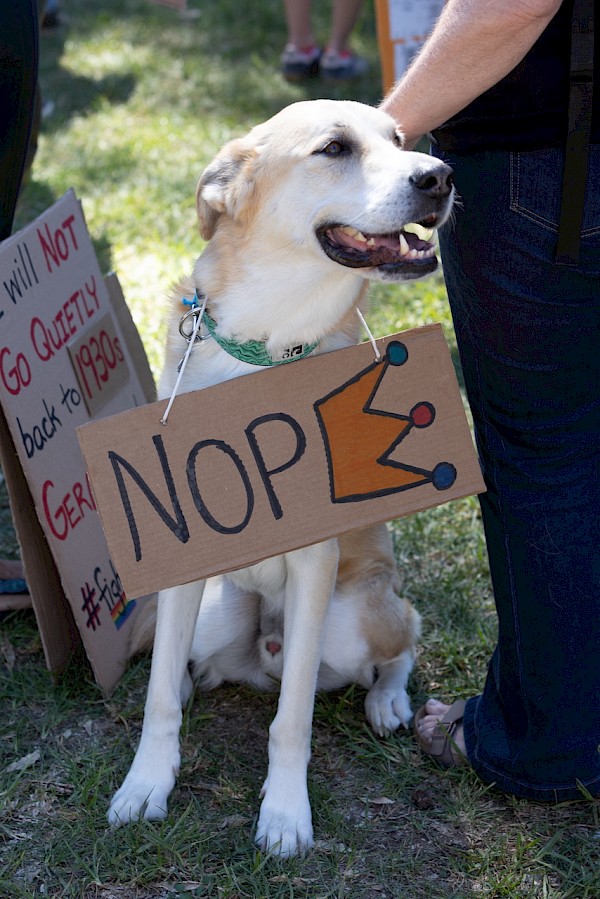 No Kings Day - Santa Barbara - Photo 14