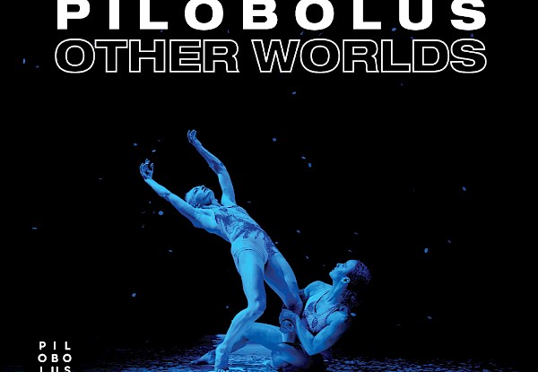 Pilobolus
