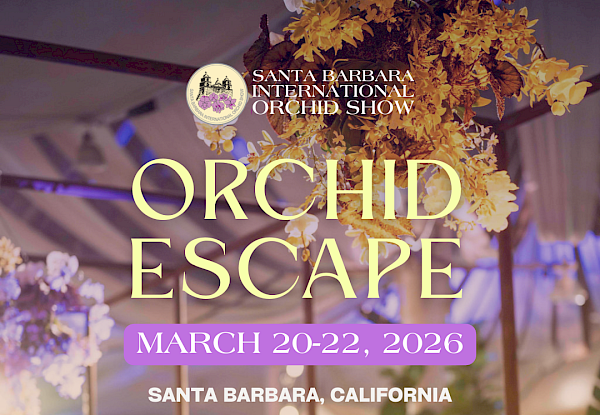 Santa Barbara International Orchid Show
