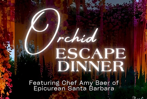 Orchid Escape Dinner