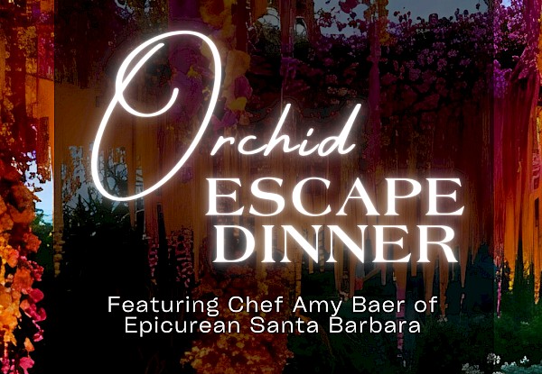 Orchid Escape Dinner