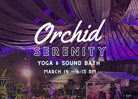 Orchid Serenity - Yoga & Soundbath