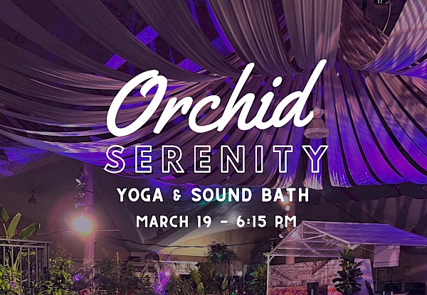 Orchid Serenity - Yoga & Soundbath