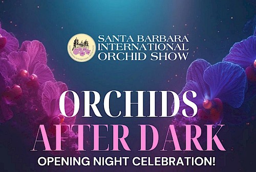 Orchids After Dark