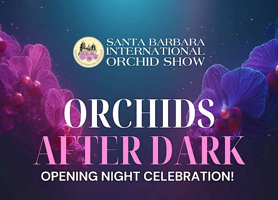 Orchids After Dark