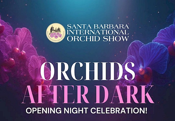 Orchids After Dark