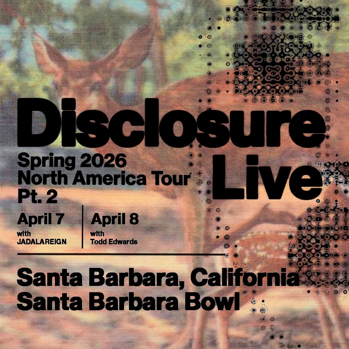 Disclosure - Live at the Santa Barbara Bowl