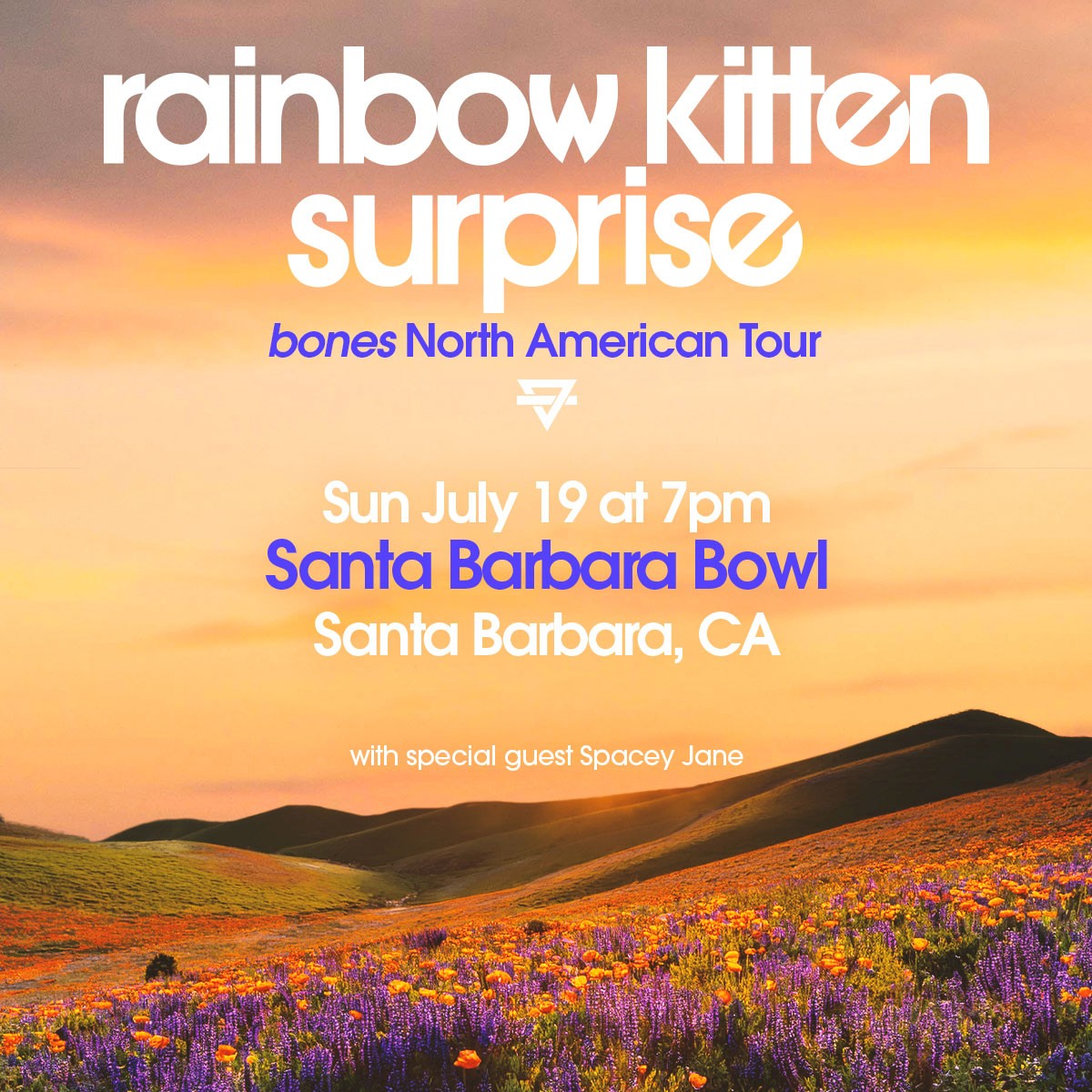 Rainbow Kitten Surprise bones North American Tour