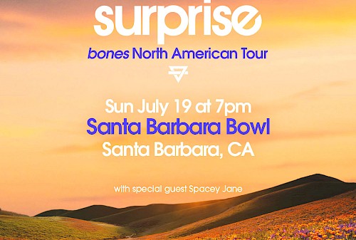 Rainbow Kitten Surprise bones North American Tour
