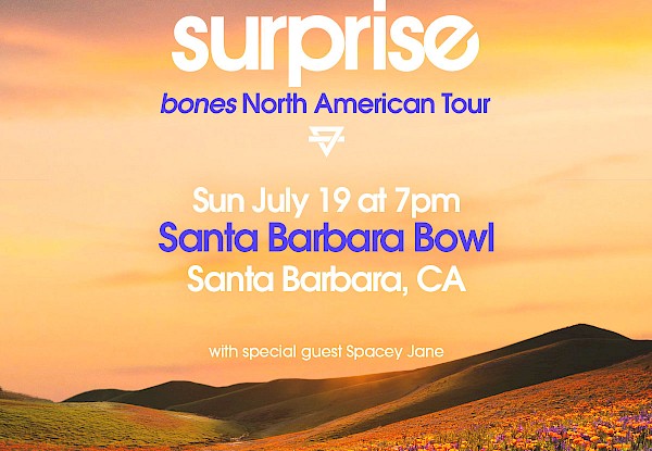 Rainbow Kitten Surprise bones North American Tour
