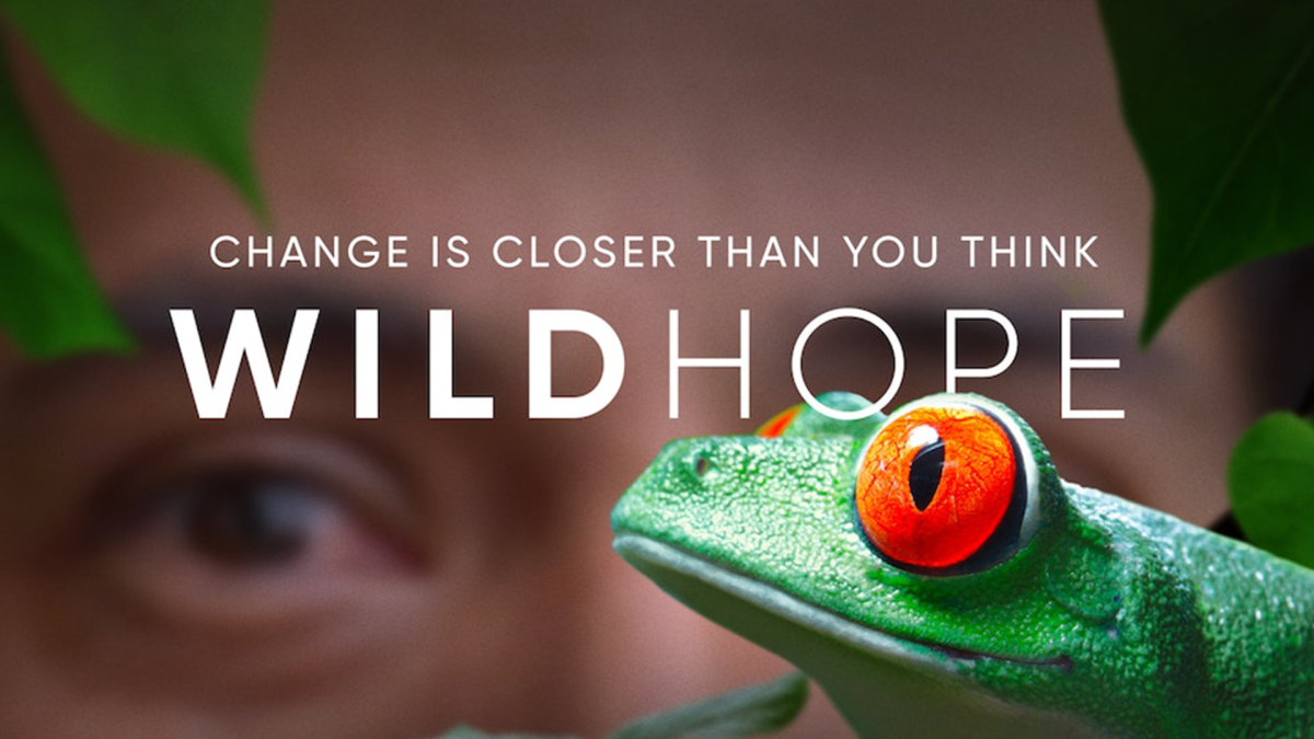 An Evening of Wild Hope