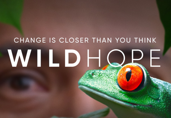 An Evening of Wild Hope