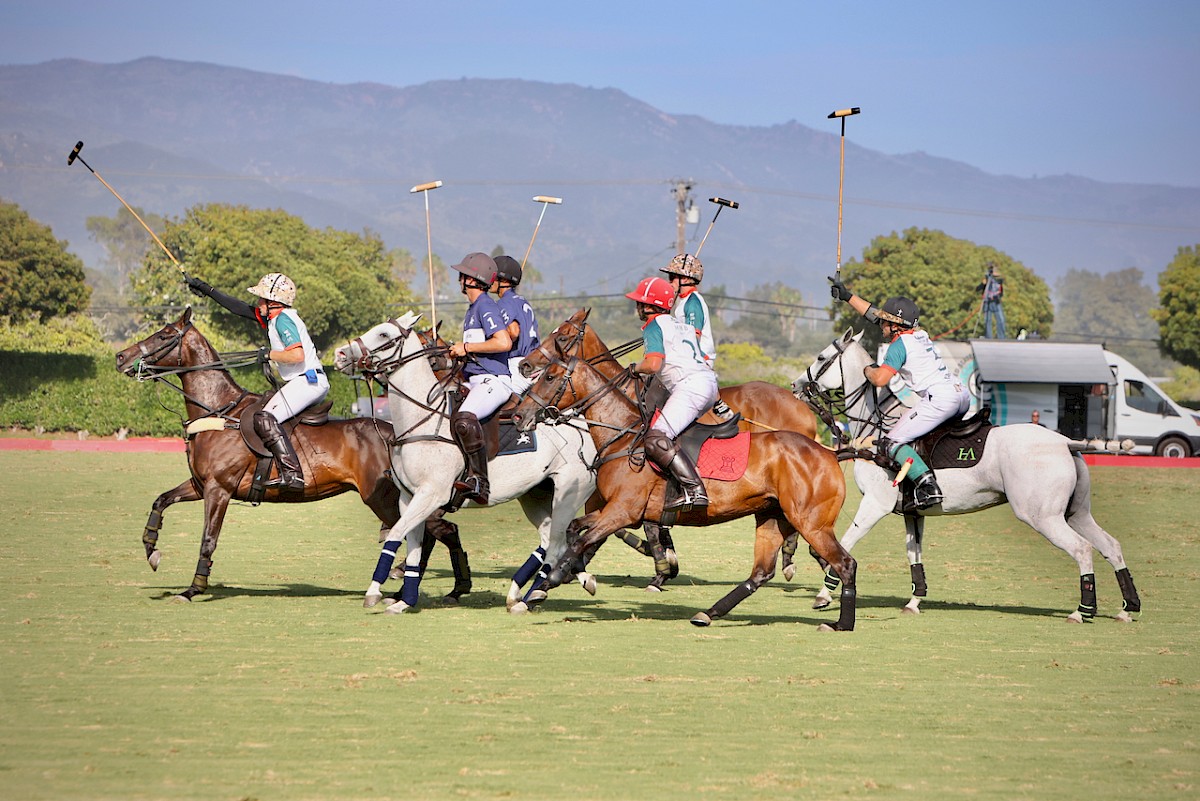 Sunday Polo