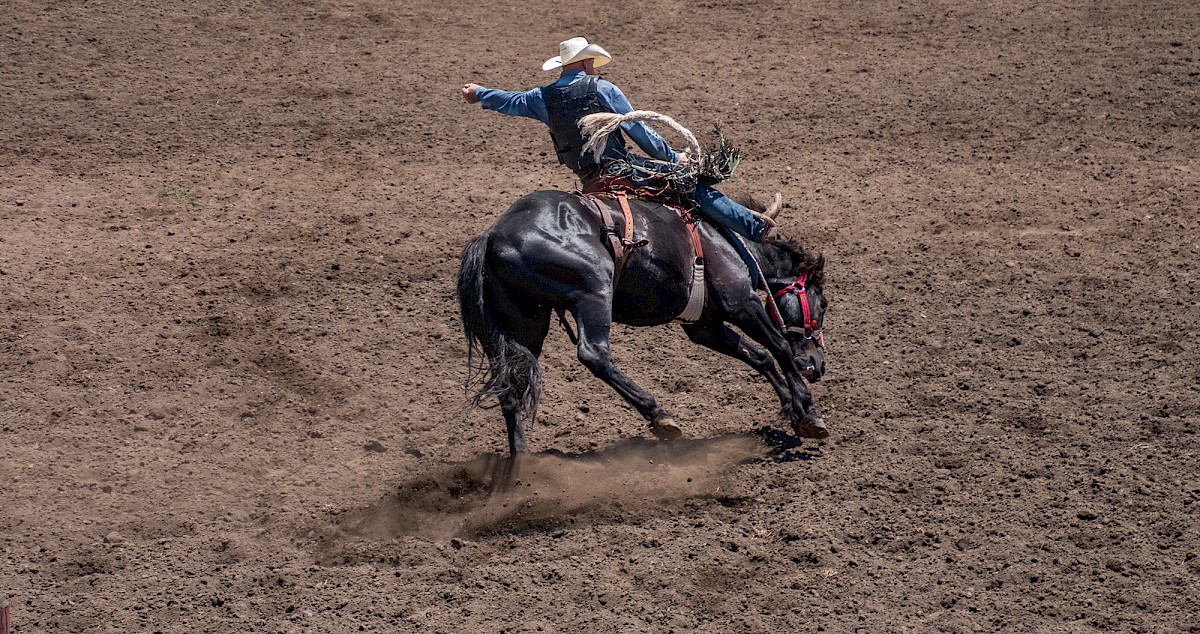 Santa Barbara Rodeo