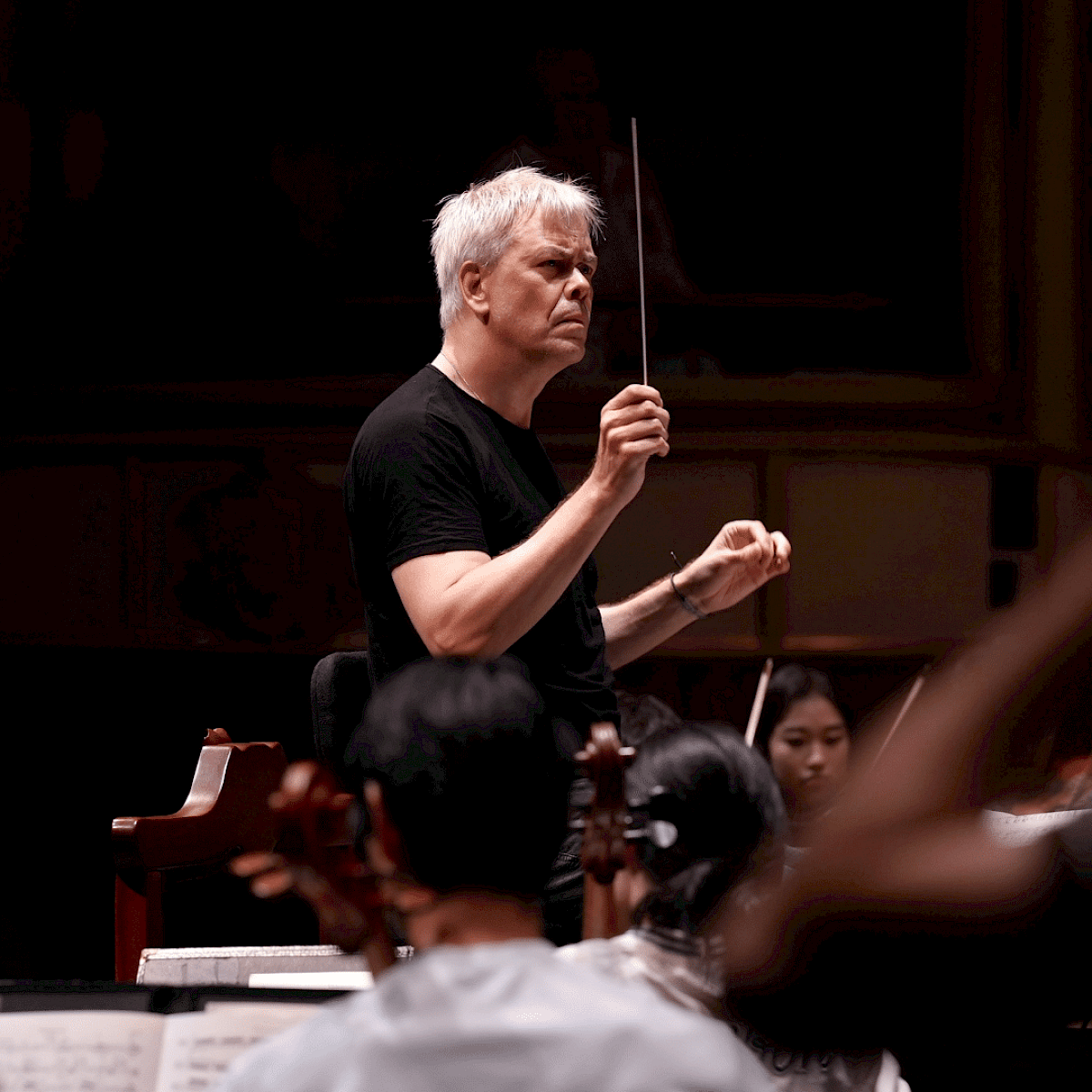 Academy Festival Orchestra: Samuel Adams & Sibelius
