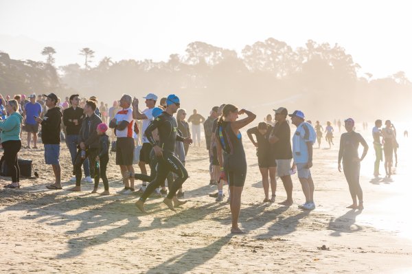 Swim — photo 34